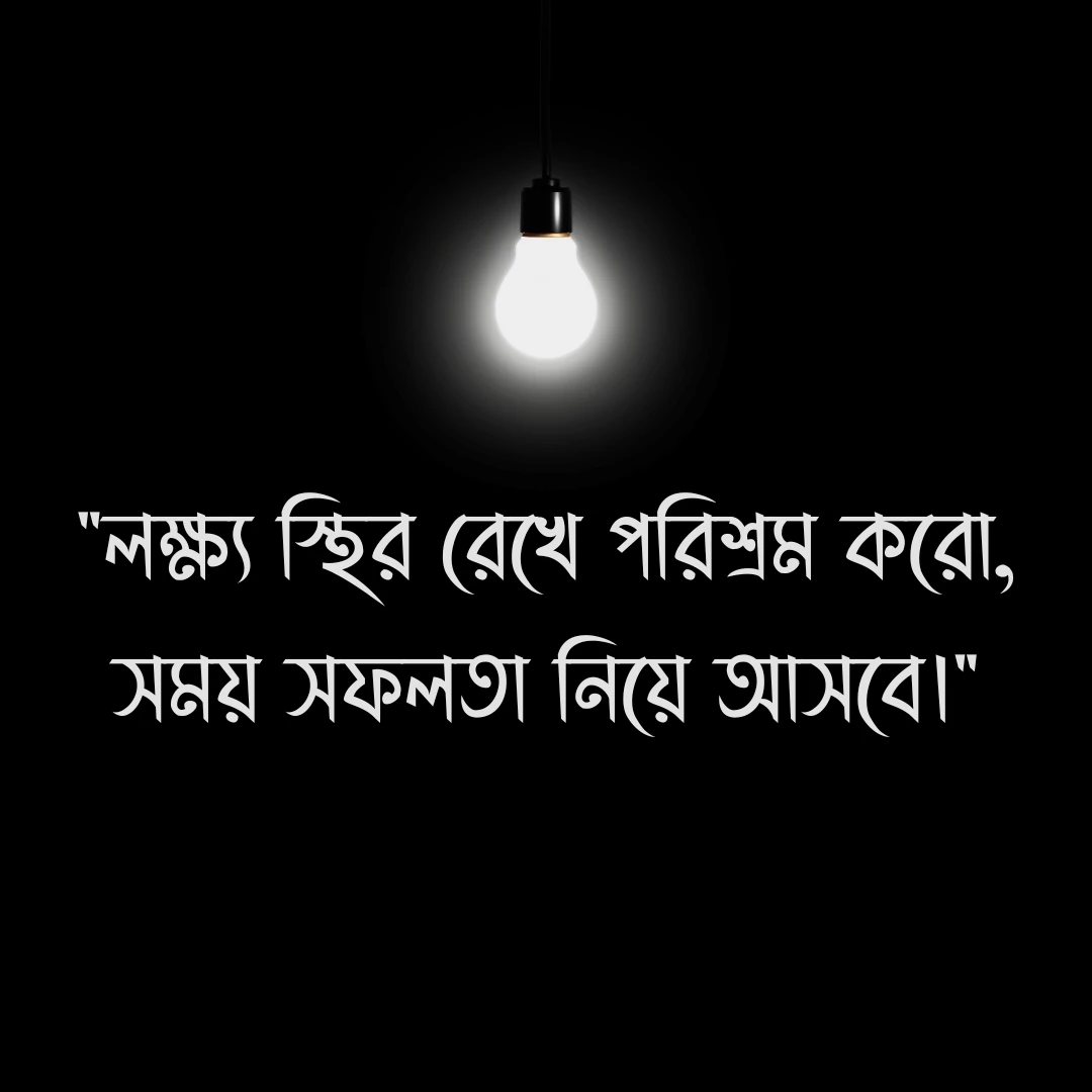 সফলতা নিয়ে স্ট্যাটাস - লক্ষ্য স্থির রেখে পরিশ্রম করো, সময় সফলতা নিয়ে আসবে