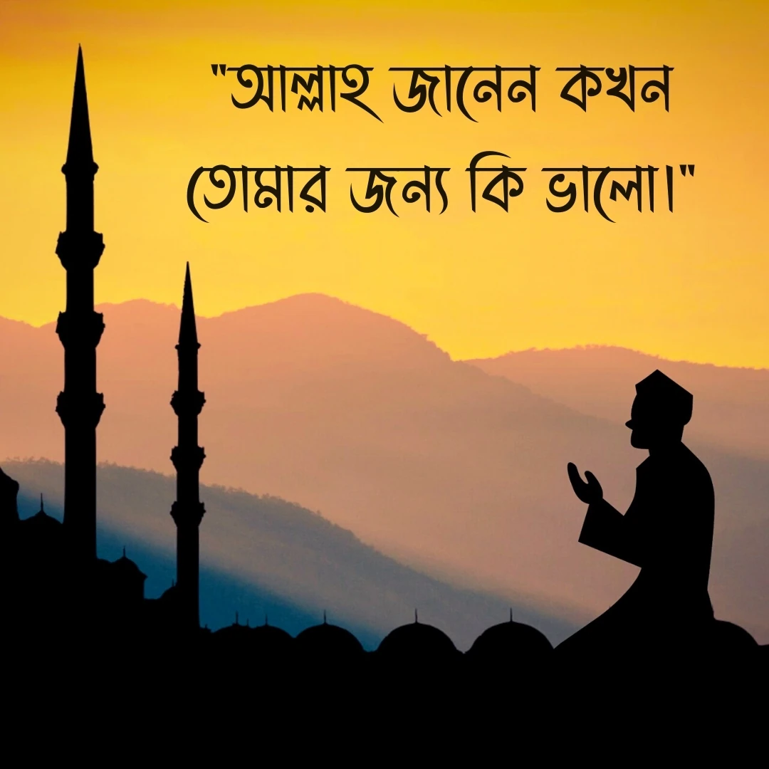 ইসলামিক স্ট্যাটাস পিকচার - আল্লাহ জানেন কখন তোমার জন্য কি ভালো।