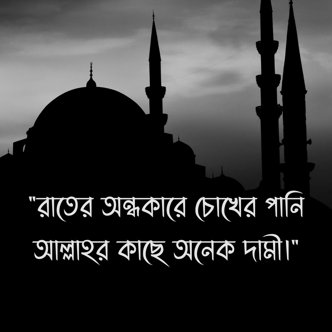 ইসলামিক স্ট্যাটাস পিকচার - রাতের অন্ধকারে চোখের পানি আল্লাহর কাছে অনেক দামী