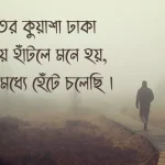 শীতের ক্যাপশন ছবি