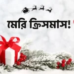 বড়দিনের শুভেচ্ছা ছবি (মেরি ক্রিসমাস)
